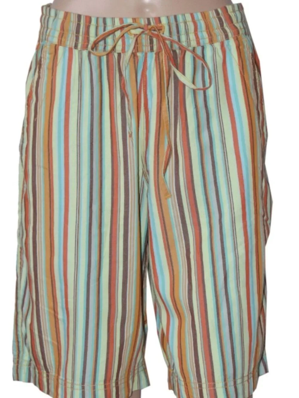 Free People Saylor Poplin Stripe Shorts Printed Mid-rise Pull-On L